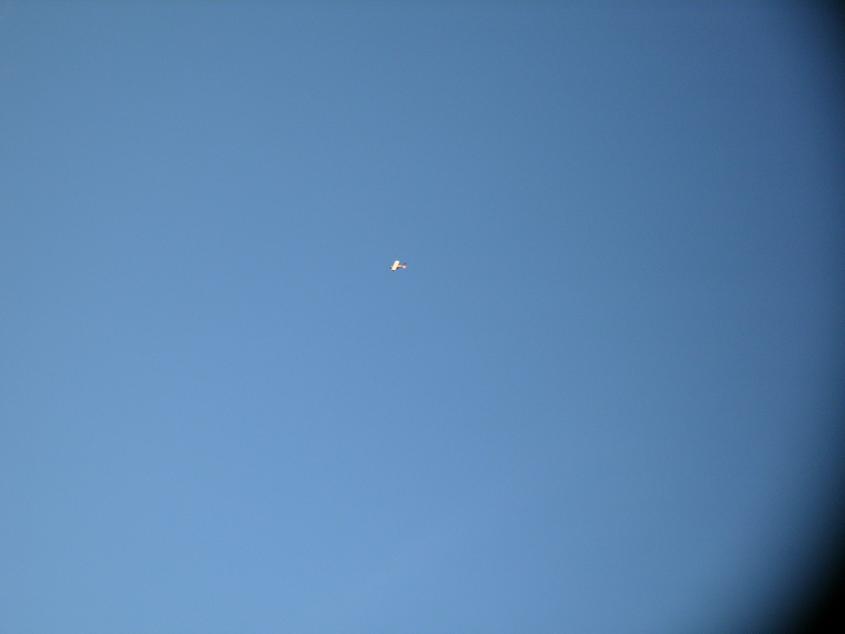 PA060202