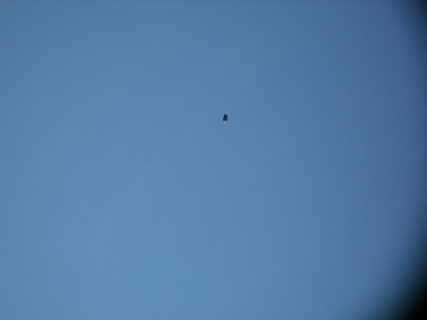 PA060204