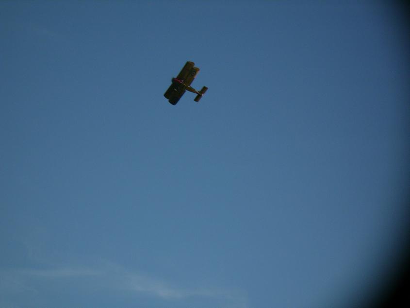 PA060208