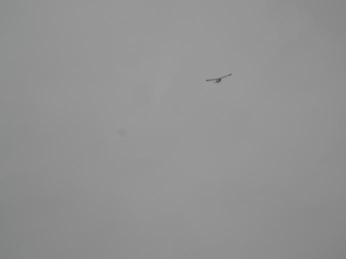 CIMG1667